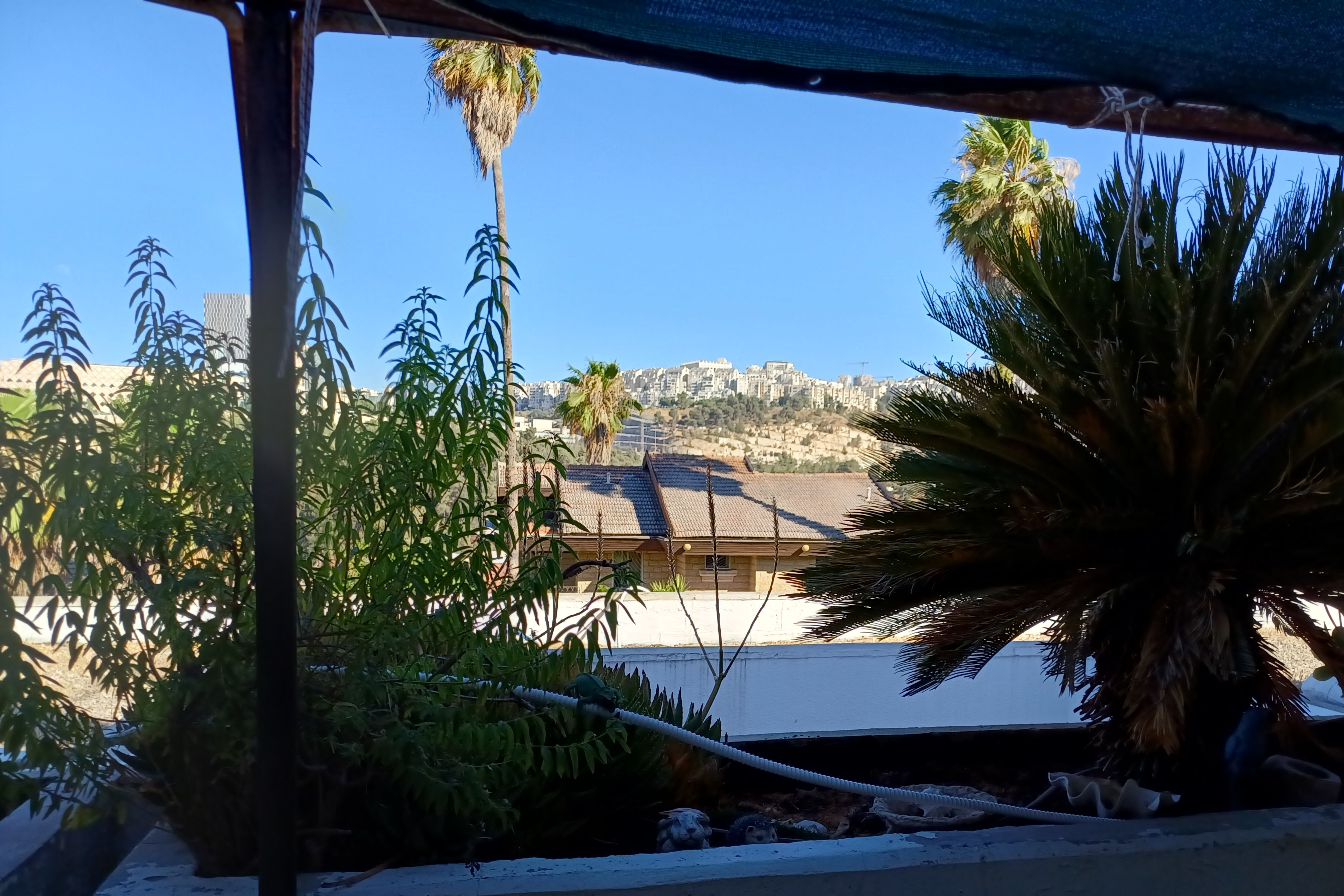 View From My Jerusalem Porch